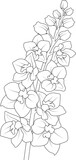 hand drawn sketch of flowers bouquet Delphinium natural collection engrave art Vintage design elements 