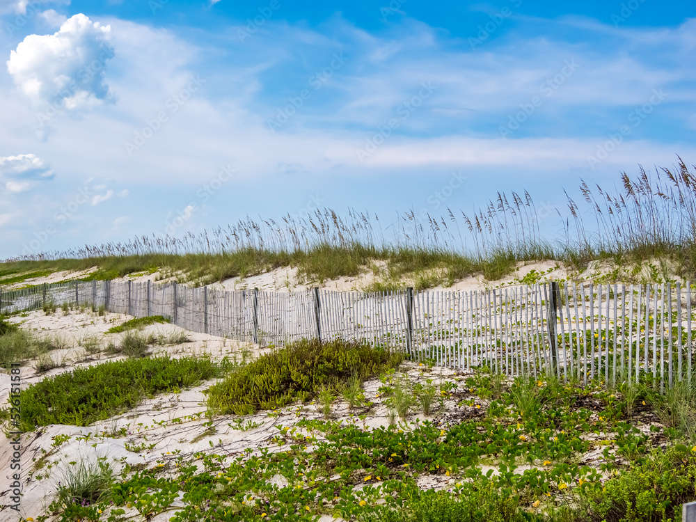 Snow fence in sand dunes on the Atlantic Ocean beach in Washington Oaks Gardens State Park in Palm Coast Florida USA