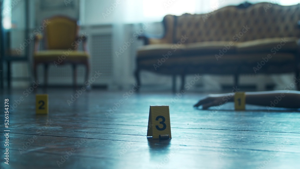 Closeup of a Crime Scene in a Deceased Person's Home. Dead man, Police ...