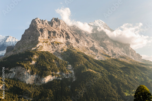 Grindelwald  Eiger  Eigernordwand  Alpen  Berner Oberland  Unterer Grindelwaldgletscher  Kleine Scheidegg  M  nnlichen  Lauberhorn  Wanderweg  Bergdorf  Abendstimmung  Sommer  Schweiz