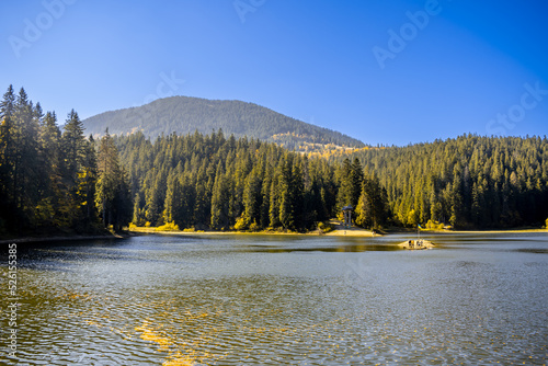 lake in the mountains (Synevyr Lake, Ukraine)