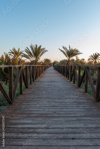 Wooden footbridges over the dunes of the palm grove