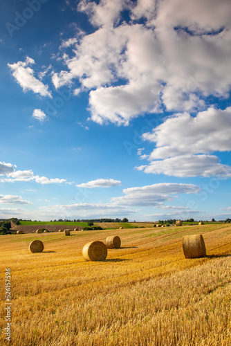 Paysage de campagne en été, meule de paille au milieu des champs en France.