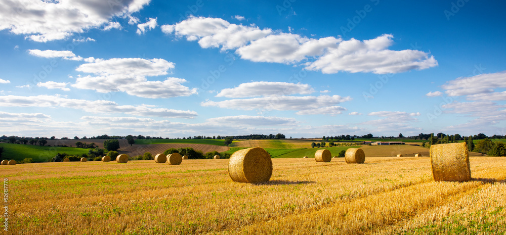 Paysage de campagne, meule de paille dans les champs après les moissons en France.