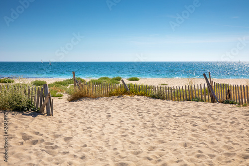 Fototapeta Naklejka Na Ścianę i Meble -  Paysage de bord de mer dans les dunes sur les plages de France.