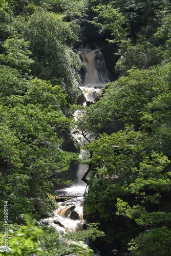 devils bridge waterfall in ceredigion surrounded by forest photo