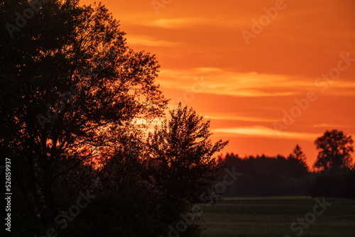 Vivid susnset with trees in foreground © Aleksander Bolbot