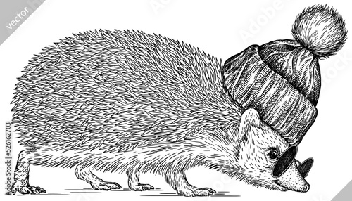 Vintage engrave isolated dressed fashion hedgehog set illustration costume cut ink sketch. Wild new hat sunglasses hipster pet background line glasses hedge vector art