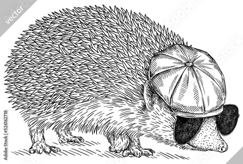 Vintage engrave isolated dressed fashion hedgehog set illustration costume cut ink sketch. Wild new hat sunglasses hipster pet background line glasses hedge vector art