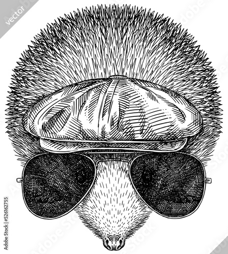 Vintage engrave isolated dressed fashion hedgehog set illustration costume cut ink sketch. Wild new hat sunglasses hipster pet background line glasses hedge vector art