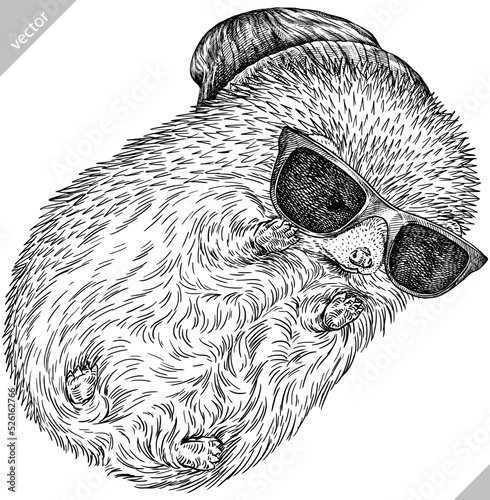 Vintage engrave isolated dressed fashion hedgehog set illustration costume cut ink sketch. Wild new hat sunglasses hipster pet background line glasses hedge vector art