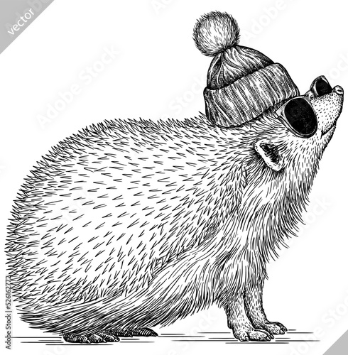 Vintage engrave isolated dressed fashion hedgehog set illustration costume cut ink sketch. Wild new hat sunglasses hipster pet background line glasses hedge vector art