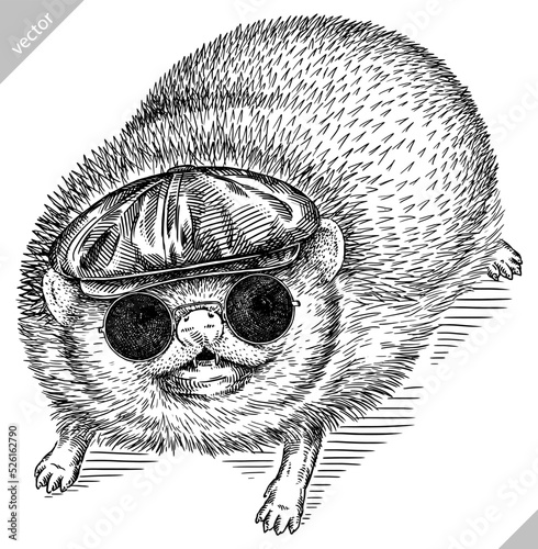 Vintage engrave isolated dressed fashion hedgehog set illustration costume cut ink sketch. Wild new hat sunglasses hipster pet background line glasses hedge vector art