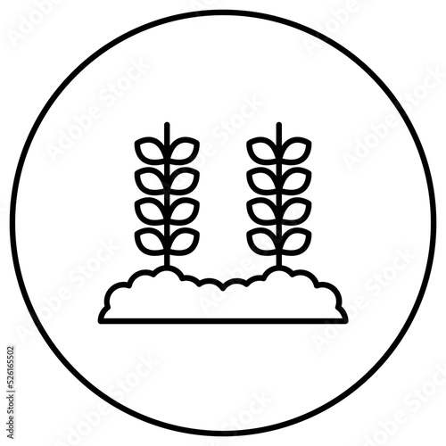 Wheat Plantation Line Icon