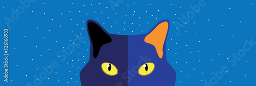 Vector illustration of a cat's face in a starry night. Concept of attention, care and affection for pets and animals