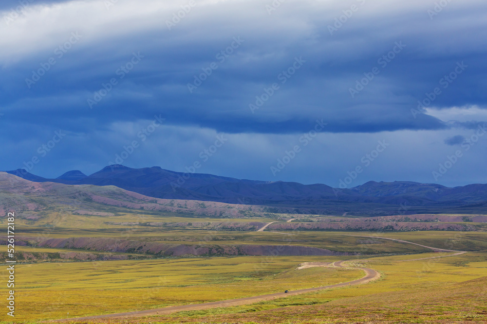 Fototapeta premium Tundra in Canada