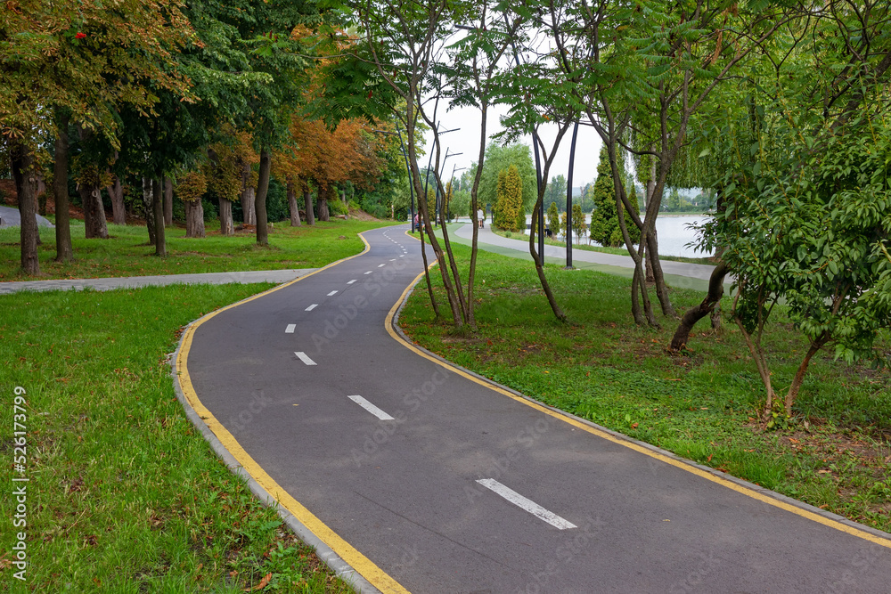 Bicycle path, running and walking paths among trees and bushes in the city park on the lake