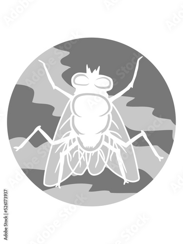 Rund Stubenfliege kleine Hausfliege 