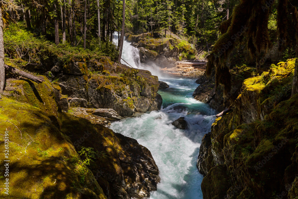 Waterfall in Rainier