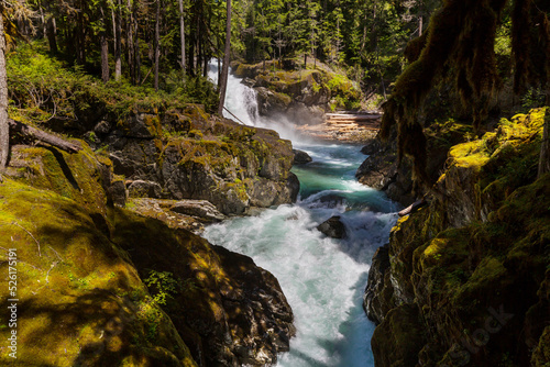 Waterfall in Rainier