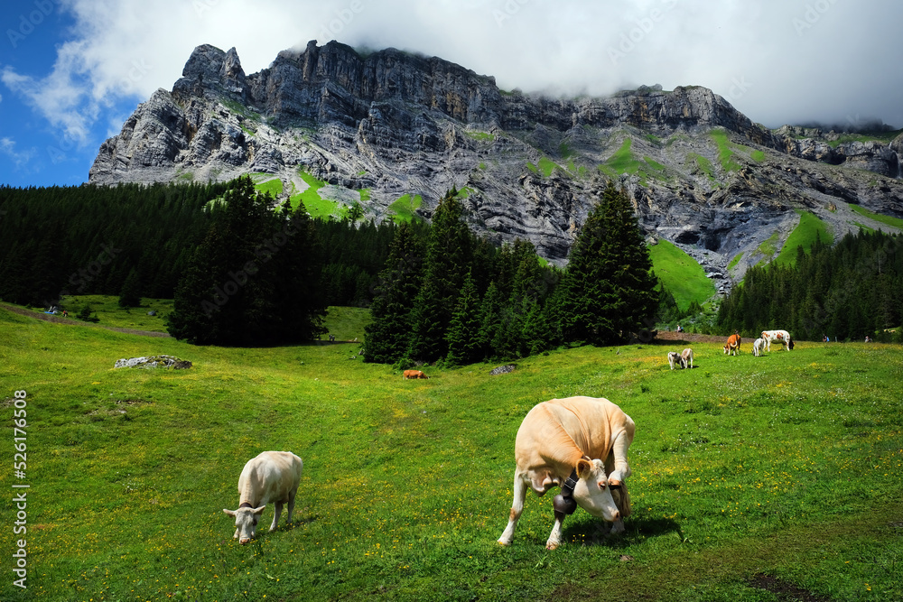 Fototapeta premium Beautiful landscape on the trail to Oeschinen Lake (Oeschinensee) in Kandersteg, the Bernese Oberland, Switzerland, part of the UNESCO World Heritage Site