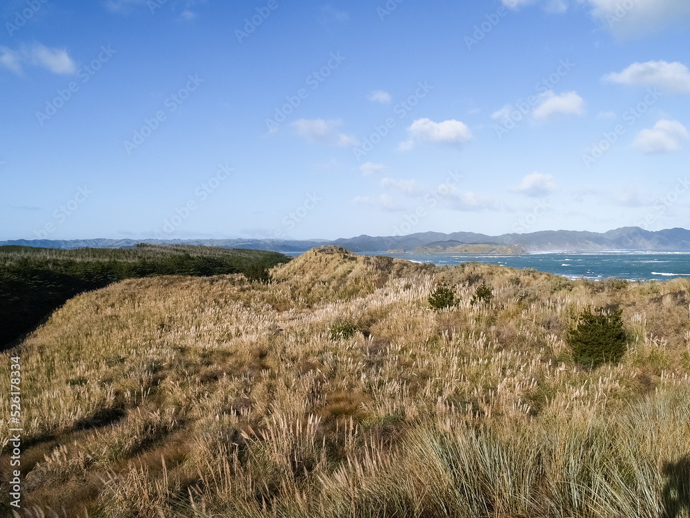 West Coast view over dunes and sea