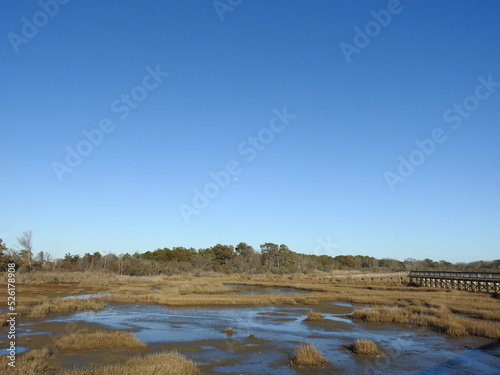 The serene natural beauty of Assateague Island attracts tourist from all over the world. A paradise worth visiting even in the winter season.