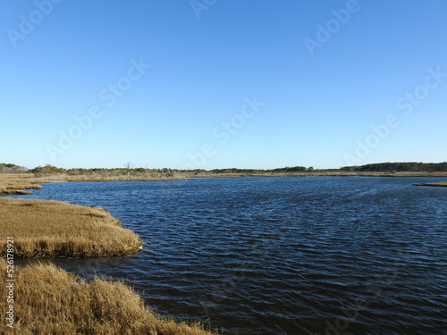 The serene natural beauty of Assateague Island attracts tourist from all over the world. A paradise worth visiting even in the winter season.