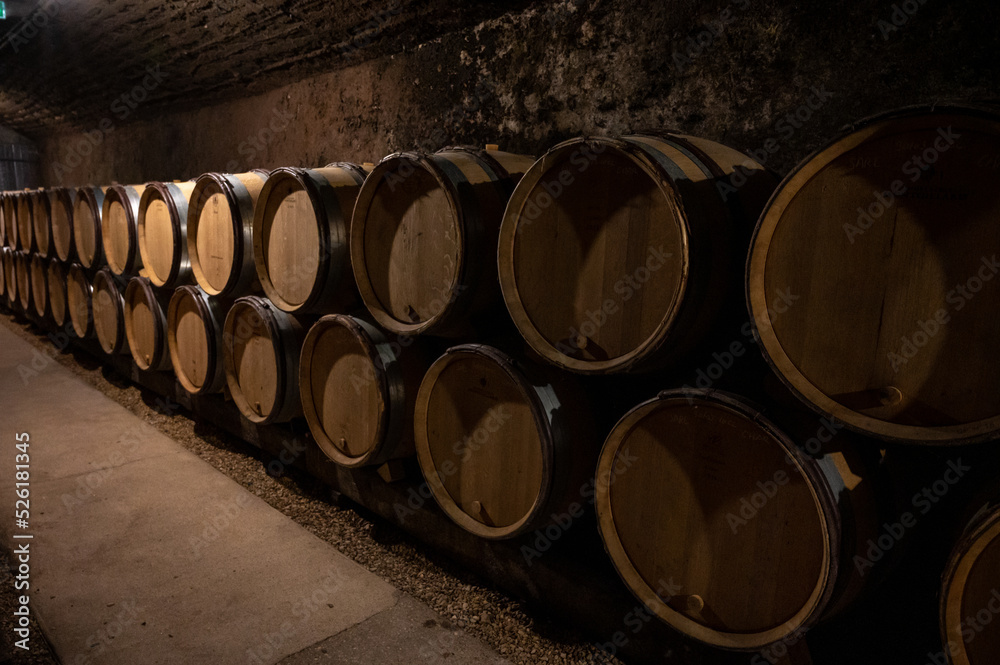 Stages of wine production from fermentation to bottling, visit to wine cellars in Burgundy, France. Aging in wooden barrels.