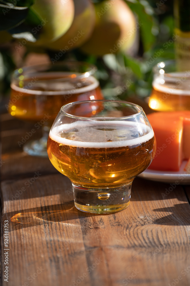 Food and drink pairing, apple cider produced on organic farm from bio apples in Normandy, France and cheddar cheese from England Food and drink pairing, apple cider produced on organic farm from bio apples in Normandy, France and cheddar cheese from England