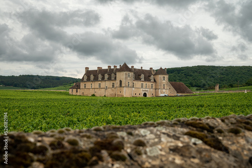 Panoramic view on grand cru vineyards in Côte-d'Or Burgundy winemaking region, Bourgogne-Franche-Comté, France