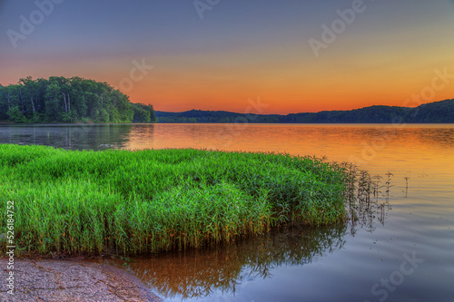 Aquatic Plants on Energy Lake Shoreline Land Between the Lakes Energy Lake Looking west from highway 134, Energy Lake glows in the evening light. 