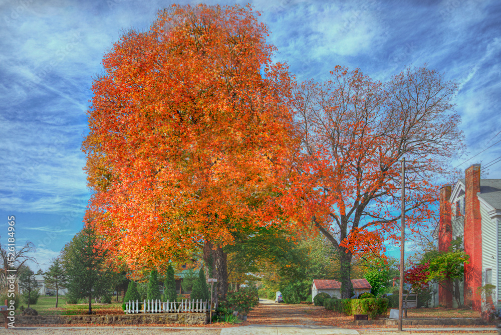 Naklejka premium Orange Reward