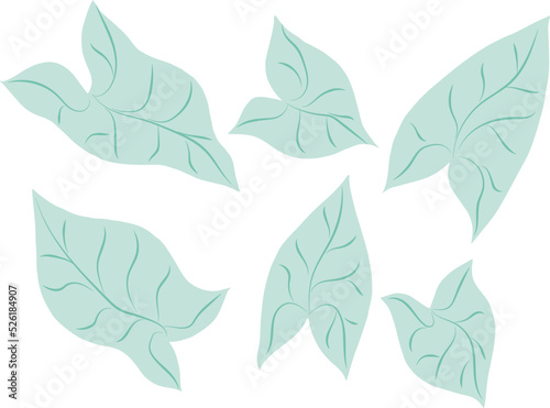 Tropical plant leaf set