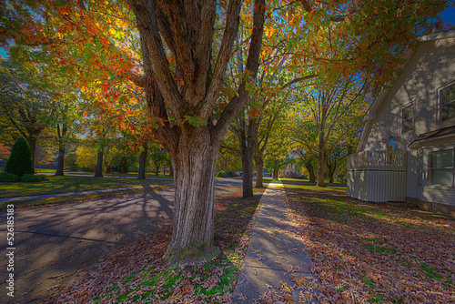 Sikeston in Autumn Street Scene