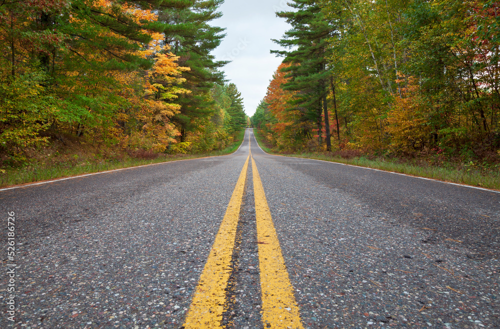 Low angle view of a road in northern Minnesota lined with pines and trees in fall color