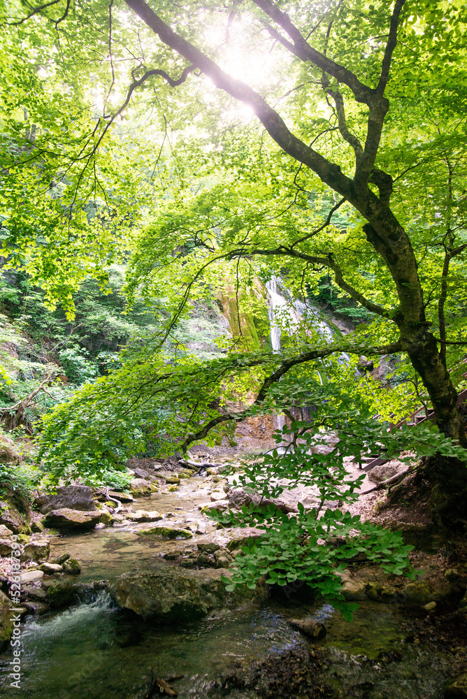 Beautiful waterfall in the summer forest Beautiful waterfall in the summer forest