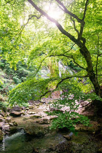 Beautiful waterfall in the summer forest