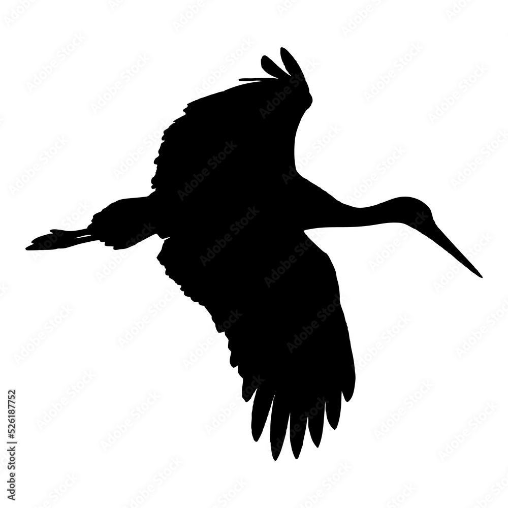 Obraz premium Silueta de cigueña volando aislada en color negro