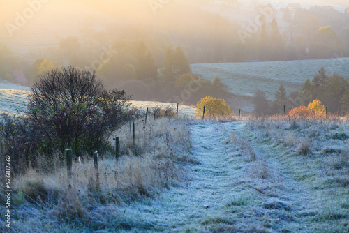 Fototapeta Naklejka Na Ścianę i Meble -  frosty autumn morning in the meadow