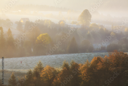 Fototapeta Naklejka Na Ścianę i Meble -  frosty autumn morning in the meadow