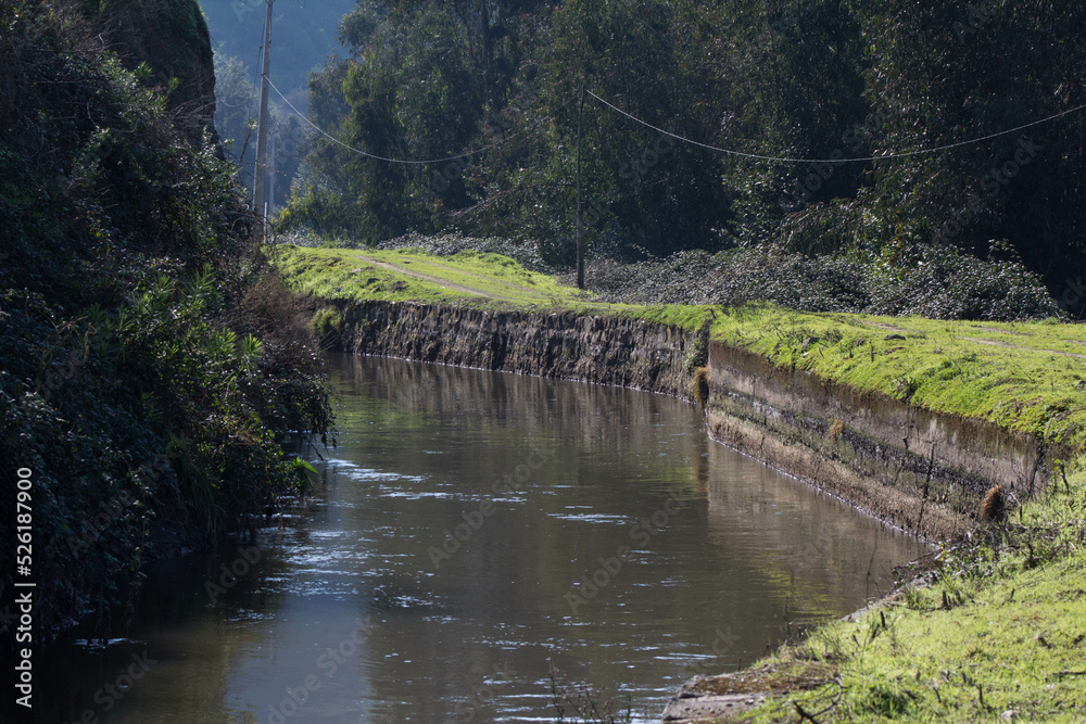Fototapeta premium Camino en el rio
