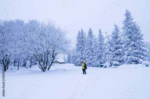 tourist in a yellow jacket in a snow-covered forest