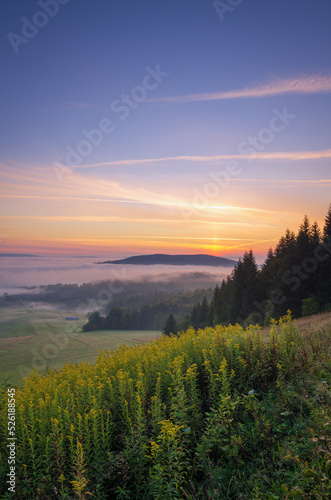 sunrise in the mountains, yellow flowers in the meadow