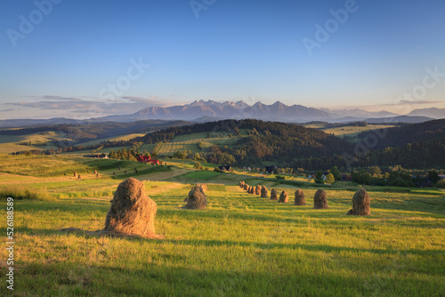 heaps of hay in spring on a meadow with a view of the Tatra Mountains