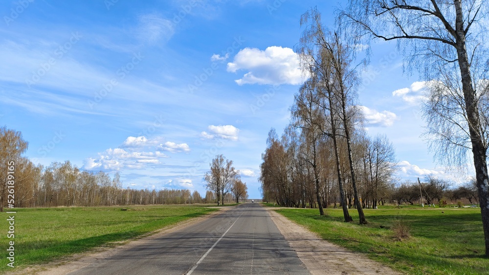 An asphalt road with markings and sandy roadsides runs among grassy meadows. Birch trees grow on the sides of the road. Sunny weather and blue sky with clouds
