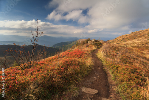 Fototapeta Naklejka Na Ścianę i Meble -  autumn in the Bieszczady National Park
