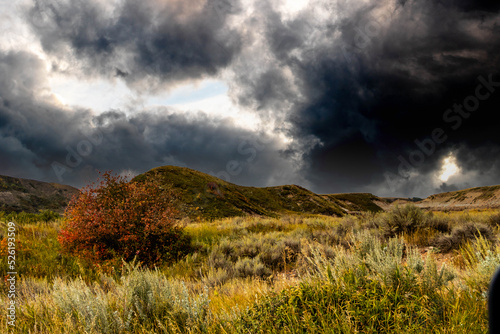 Fall in the badlands. Midland Provincial Park, Alberta, Canada photo