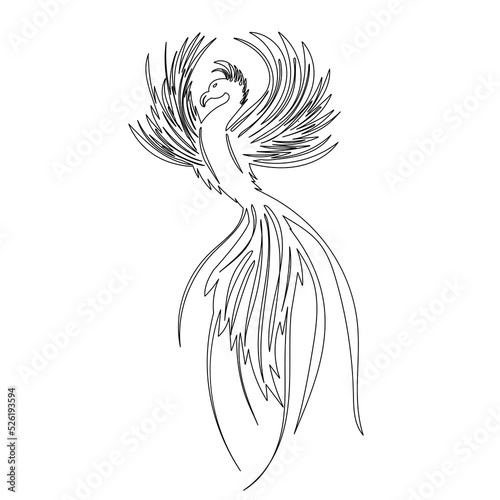 phoenix bird sketch isolated, vector