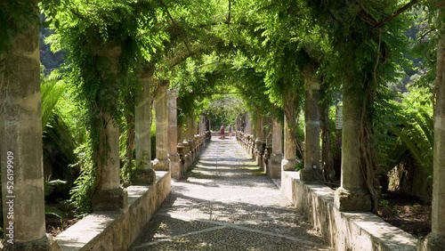 Alley in the Alfabia gardens and nature park in the Tramuntana mountain - Bunyola, Mallorca, Balearic Islands, Spain photo